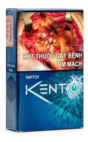 05f3818cdc98ffab8099634ee641297a Vietnamese Kent Switch