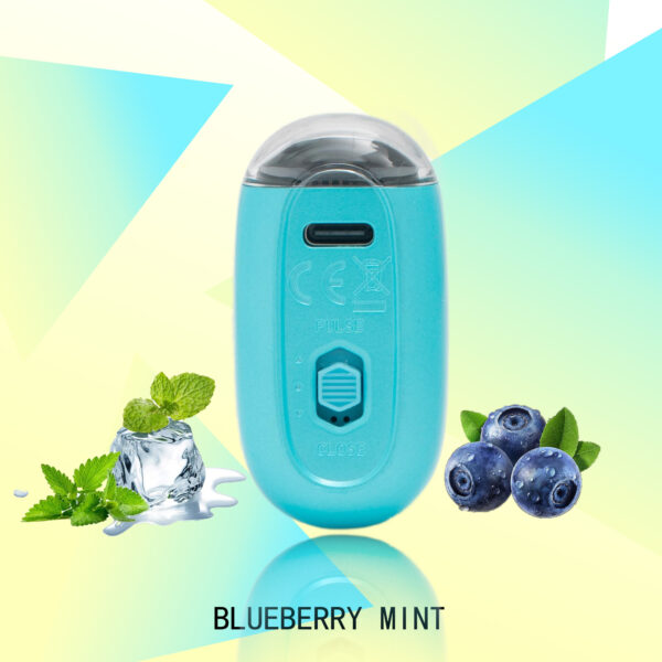 1b277fa41a612407f7fadb03027a9d7e FLUX BLUEBERRY MINT 20000 PUFFS