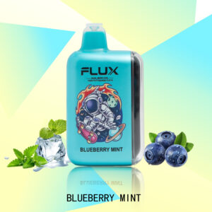 648927fd6d8bb0533a35f181041a7f9e FLUX BLUEBERRY MINT 20000 PUFFS