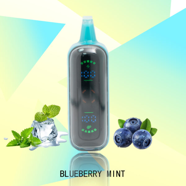 9357bd018b94d85f903fe05f9465e737 FLUX BLUEBERRY MINT 20000 PUFFS