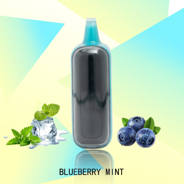 e0fdda6bccd2db3f78bbebe379f4697b FLUX BLUEBERRY MINT 20000 PUFFS