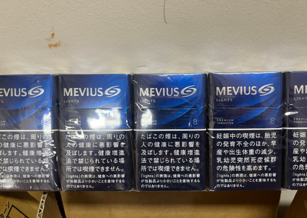 MEVIUS LIGHTS 8