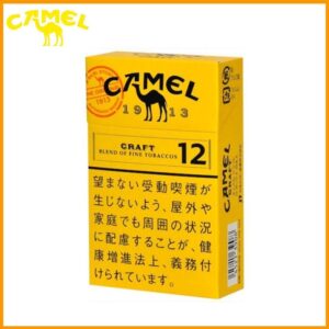 f2436ec40c0ef8c53009a712155dee20 Camel Craft 12